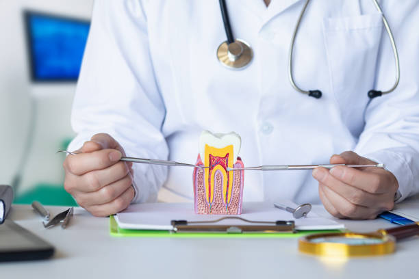 Best Chipped Tooth Repair Near Me  in Pleasantville, NJ